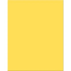 Best deal ???? Pacon 18 Point 22 In. X 28 In. Yellow Poster Board ????