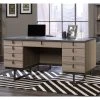 Budget ⭐ Sauder International Lux Executive Desk ????