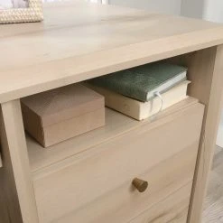 Budget ???? Sauder Willow Place Single Pedestal Desk ???? -Elements Shop unnamed file 877