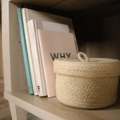 Budget ???? Sauder Willow Place L Desk ???? -Elements Shop unnamed file 943